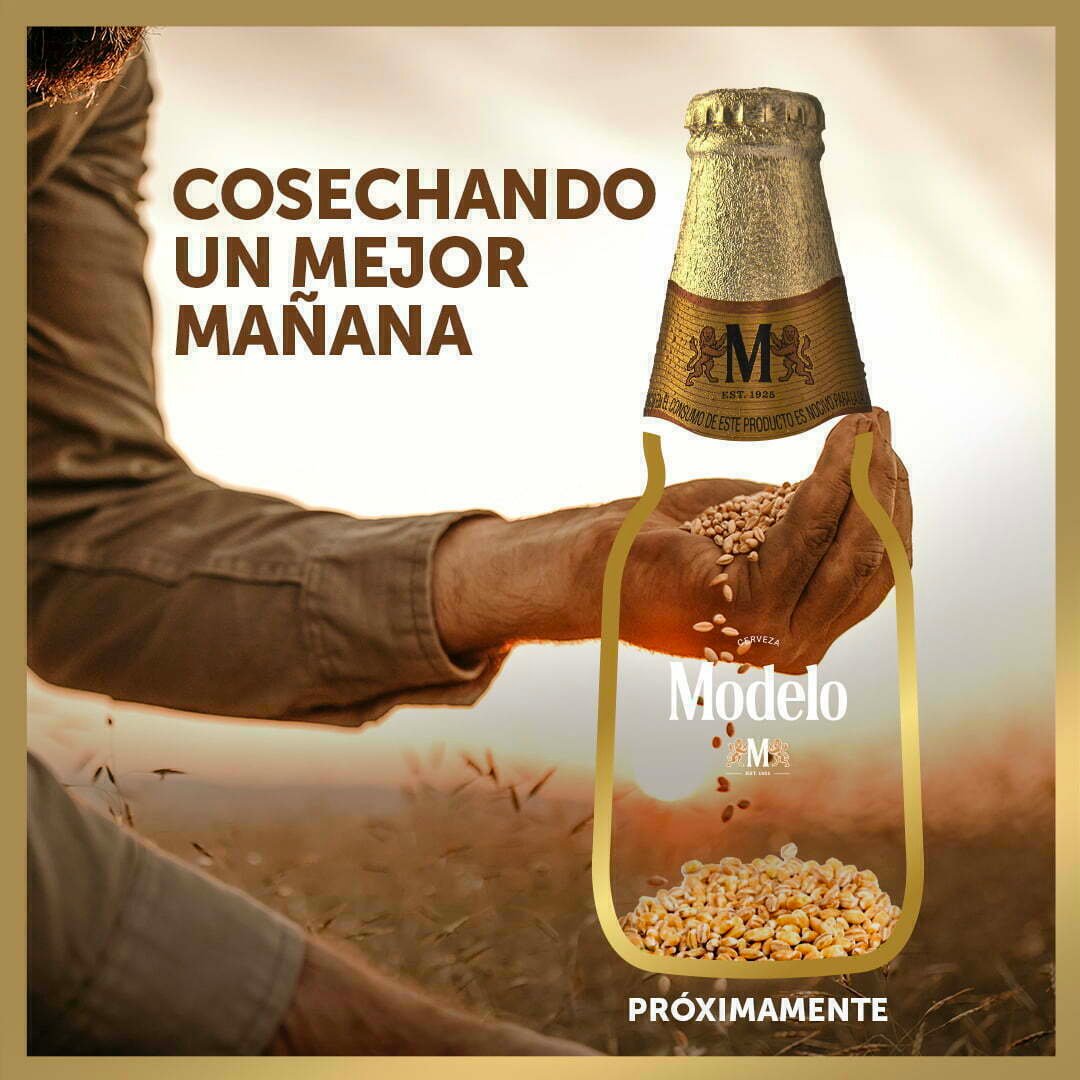 Cerveza Modelo elaborará una edición especial en apoyo a los agricultores