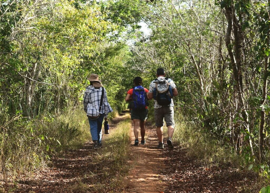 El camino del Mayab en Yucatán