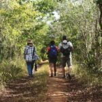 El camino del Mayab en Yucatán