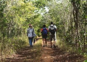 El camino del Mayab en Yucatán
