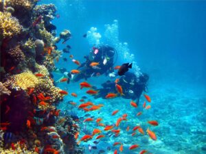 Náuticos de Quintana Roo