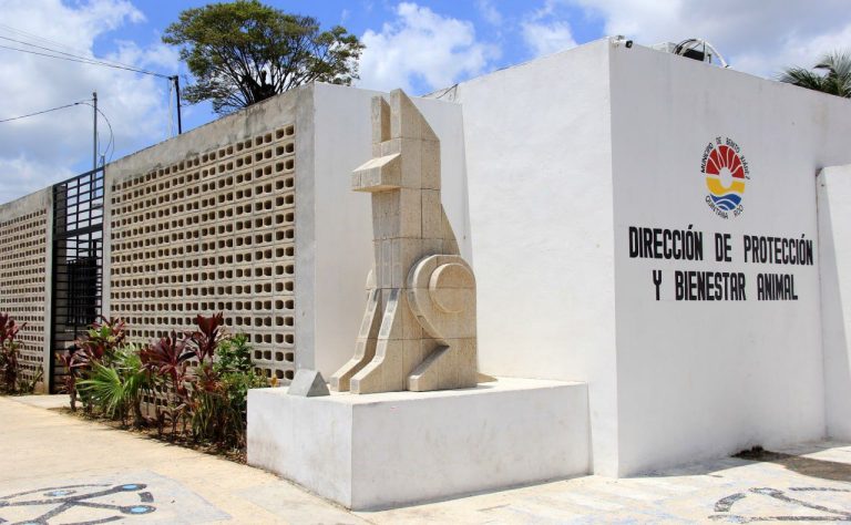 Atiende Bienestar Animal Denuncias De Envenenamiento De Canes
