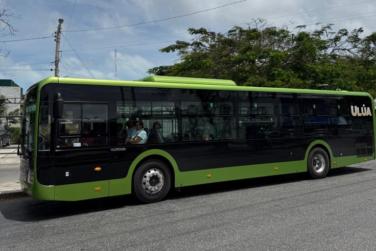 Pasos firmes hacia una transformación del transporte público en Cancún