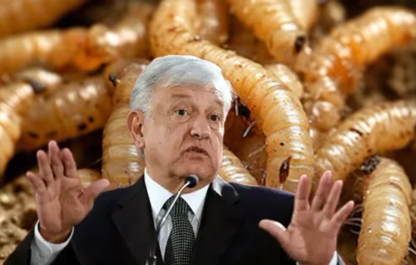 AMLO y el gusano: Carlos Loret de Mola