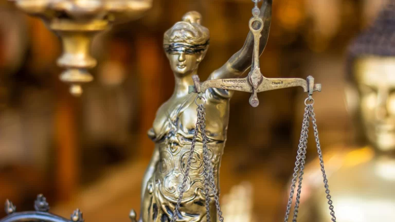 El test de proporcionalidad y el Gatopardismo Judicial: Hugo Alday