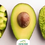 México se prepara y da la bienvenida a la gran cosecha de aguacate